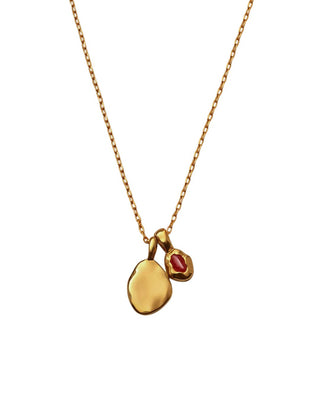 Birthstone Necklace - January