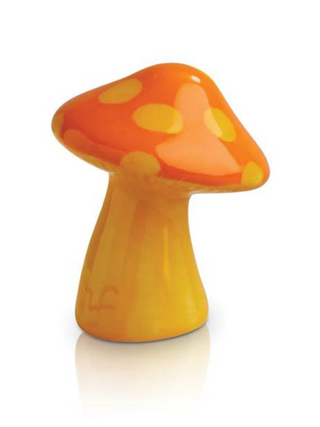 Mini - Funky Fungi
